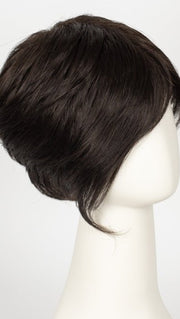 R2/4 | Darkest Brown Blended With Dark Brown