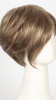 R12/26H | Light Brown with Golden Blonde Highlights on Top