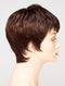 CINNAMON RAISIN | Medium Brown with Auburn and Cinnamon highlights