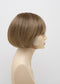 FROSTED | Light Brown with Wheat Blonde blended highlights