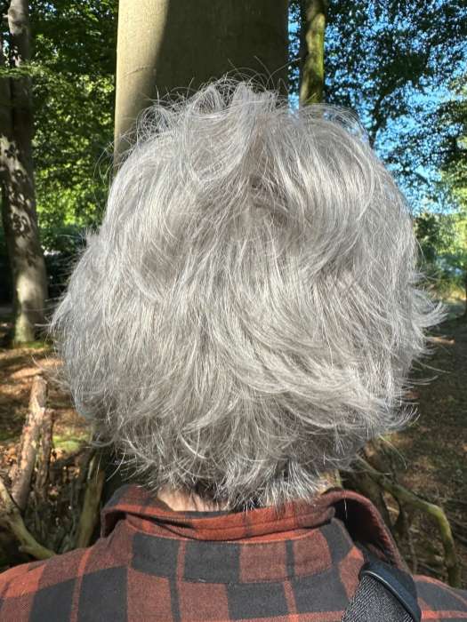 Mel B. @mels.be.ageless wearing VOLTAGE PETITE by RAQUEL WELCH WIGS in color RL51/61 ICED GRANITA | Lightest Grey Progresses to a Deep Grey at the Nape