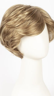 R14/26H | Dark Blonde w/Golden Blonde Highlights