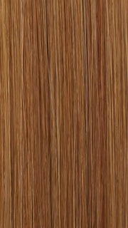 27MB STRAWBERRY SHORTCAKE | Dark Red-Gold Blonde