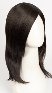 DARK BROWN SHADED 2.4.6 | Black/Dark Brown with Darkest/Dark Brown Blend and Shaded Roots