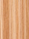 24B/27C BUTTERSCOTCH | Light Gold Blonde and Light Red-Gold Blonde Blend