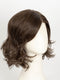 R6/10 | Chestnut Brown and Medium Ash Brown Blend