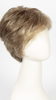 R13F25 PRALINE FOIL | Lightest Brown with Gold Blonde Highlights Around the Face