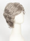 R119G SILVER AND SMOKE | Light Brown with 80% Gray in Front Gradually into 50% Gray Towards the Nape