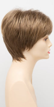 MOCHA FROST | Light Brown blended with Golden Blonde