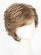R12/26H | Light Brown w/Golden Blonde Highlights on Top
