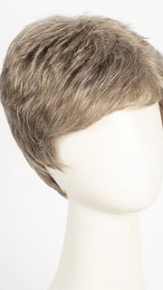 R17/101 | Ash Brown/Platinum Blonde Blend