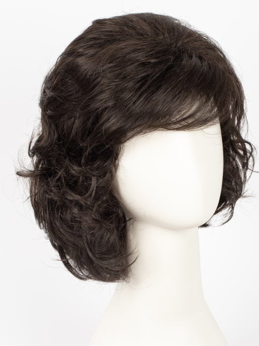 R2/4 | Darkest Brown Blended With Dark Brown