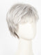 G60+ BURNISHED SNOW | Lightest brown with 90% gray base w/ silvery white highlights