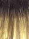 BLUSH-BLONDE-R | Dark Gold Blonde and Auburn Blend with Medium Brown Roots
