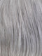 Lark | Synthetic Lace Front Wig (Basic Cap)