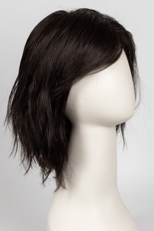 R2/4 | Darkest Brown and Dark Brown Blend