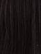 FS1B/30 | 80% Off Black with 20% Copper Blonde Frost