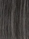GL 44-51 SUGARED CHARCOAL | Darkest Brown with 50% Silver Grey