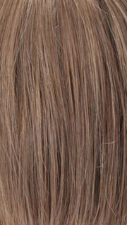 R12/26H | Light Brown with Golden Blonde Highlights on Top