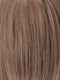 R12/26H | Light Brown with Golden Blonde Highlights on Top