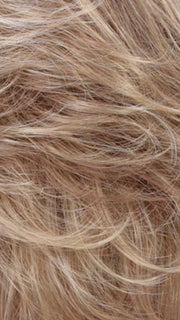 R14/26H | Dark Blonde w/Golden Blonde Highlights