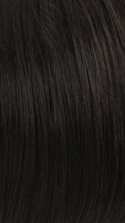 R2/4 | Darkest Brown and Dark Brown Blend