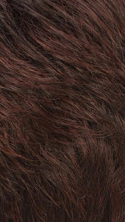R32F | Dark Brown/Dark Auburn Frost