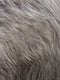 R51LF60 | Off Black w/75% Grey Lightening to Gold Blonde Mix in Front