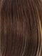 R8/26H | Golden Brown with Golden Blonde Highlights