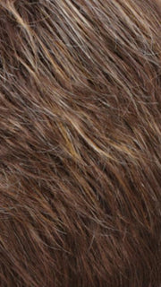 R8/26H | Golden Brown w/Golden Blonde Highlights
