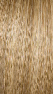 R14/88H GOLDEN WHEAT | Dark Blonde Evenly Blended with Pale Blonde Highlights Highlights