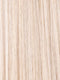 LIGHT CHAMPAGNE ROOTED 23.25.24 | Lightest Pale Blonde and Lightest Golden Blonde with Lightest Ash Blonde Blend and Shaded Roots