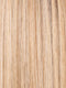 SAND ROOTED 14.20.26 | Medium Ash Blonde and Light Strawberry Blonde with Light Golden Blonde Blend