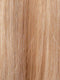 RH1488 | Dark Blonde w/Lightest Blonde Highlights