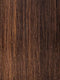 FS4/27 | 80% Medium Dark Brown with 20% Honey Blonde Frost